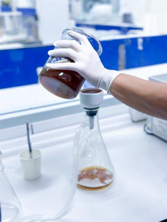 Enzyme Application Lab (9) (Medium)